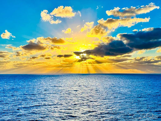 Atlantic Rays.