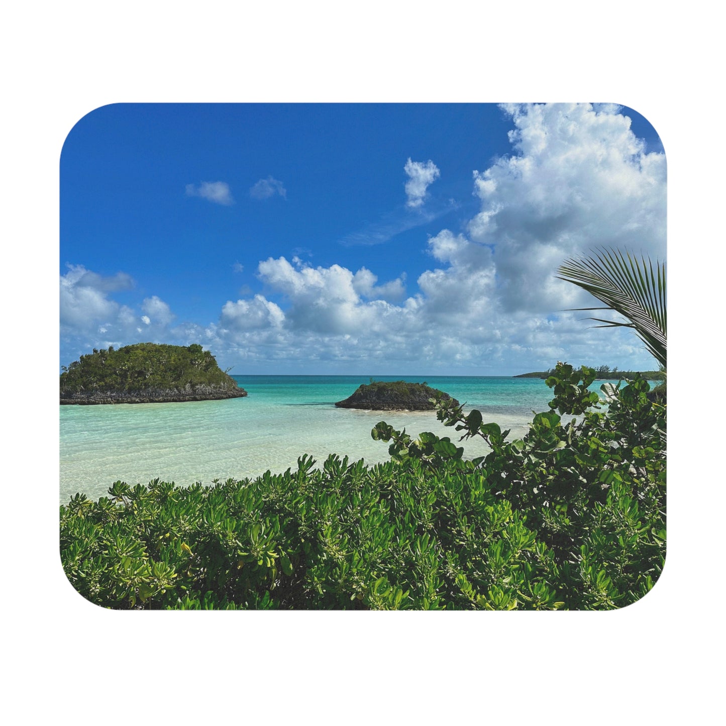 Mouse Pad — "Sea Turtle"