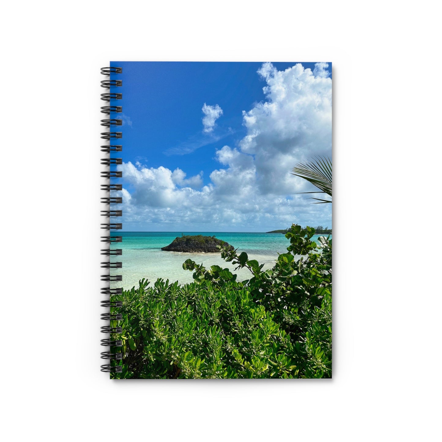 Spiral Notebook — "Sea Turtle"