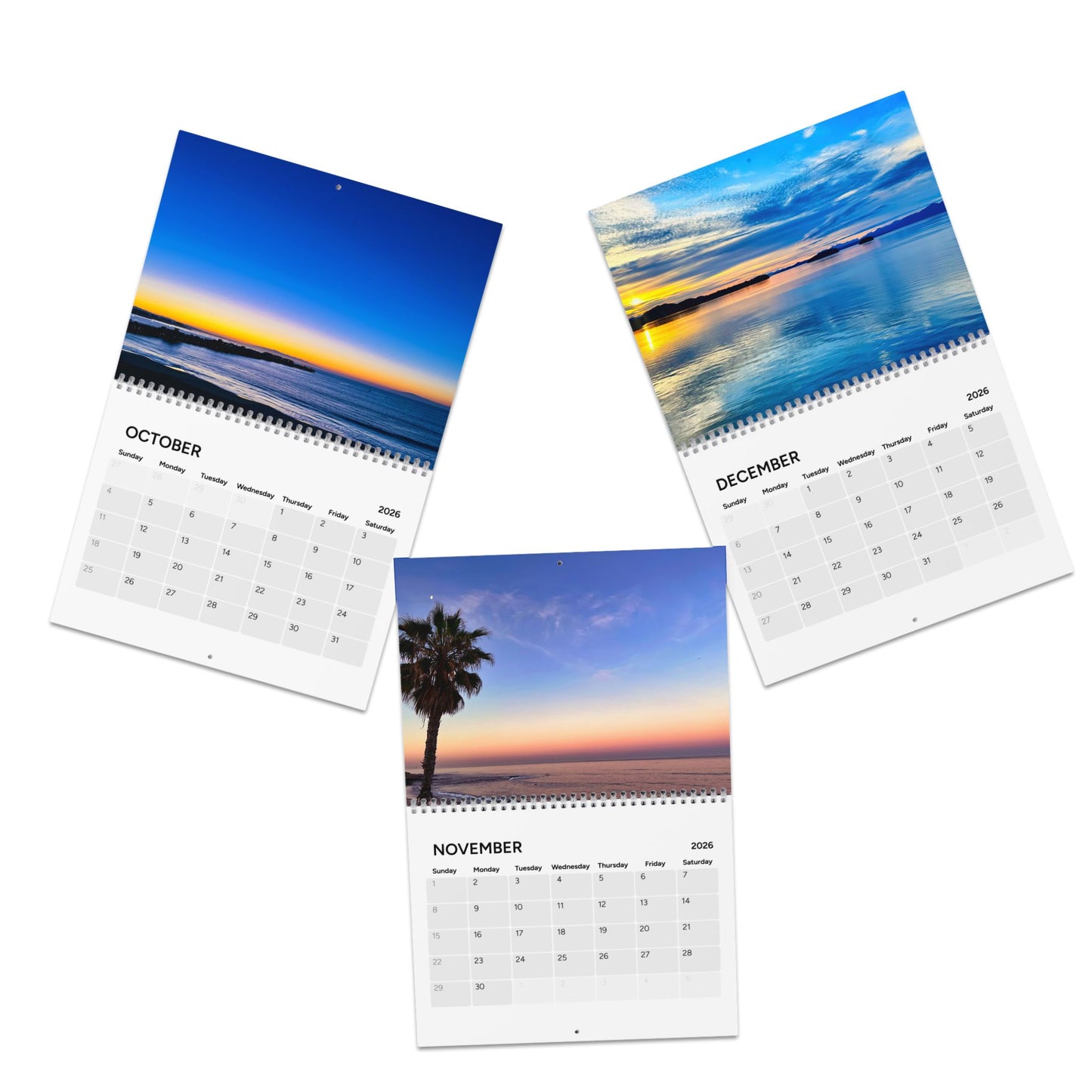 2026 Salty Vibes Wall Calendar