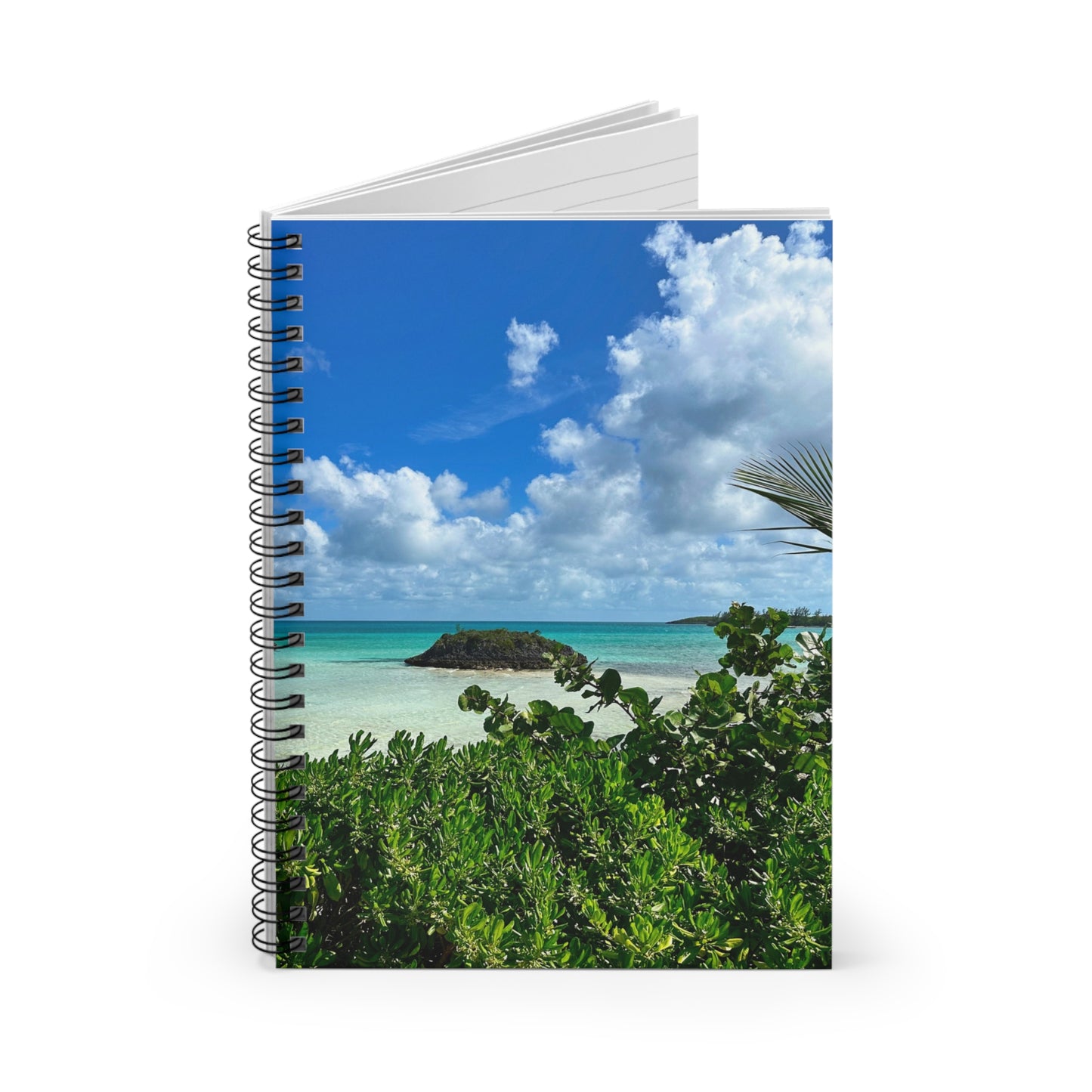 Spiral Notebook — "Sea Turtle"