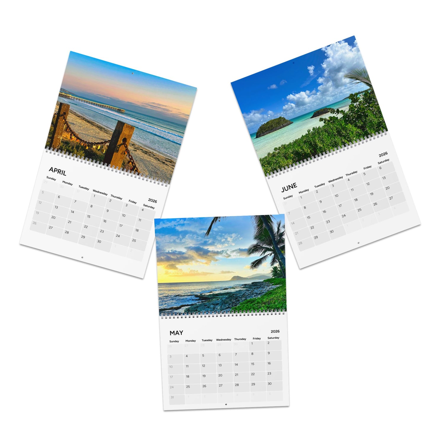 2026 Salty Vibes Wall Calendar
